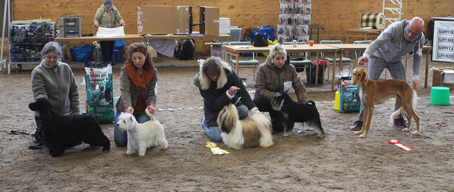 Inofficiell utställning 2010