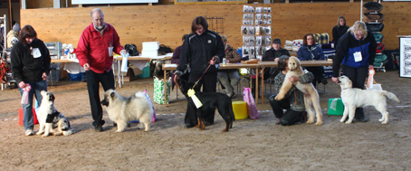 Inofficiell utställning 2010