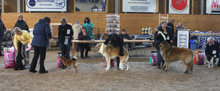 Inofficiell utställning 2010