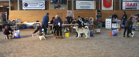 Inofficiell utställning 2010