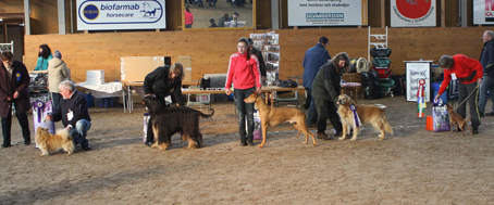 Inofficiell utställning 2010