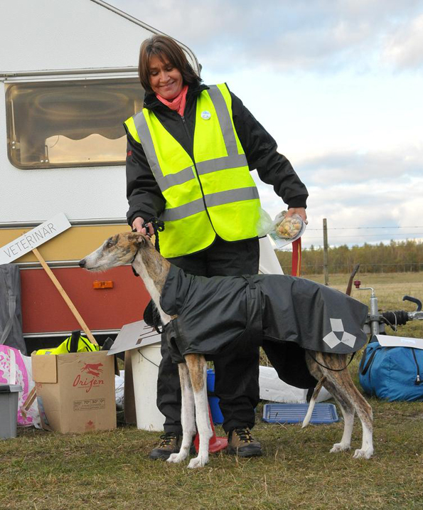 Klubbmästerskap 2009