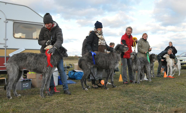Klubbmästerskap 2009